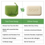 RAY7 Tea Tree Handmade Soap, Glycerin Based with Tea Tree Oil and Aloe Vera Juice, Moisturising and Hydrating, for Glowing Soft Skin, Sulphate Free, Paraben Free, 100g, Pack of 3 (Tea Tree Handmade) - Image 4
